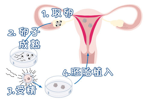 男科主任